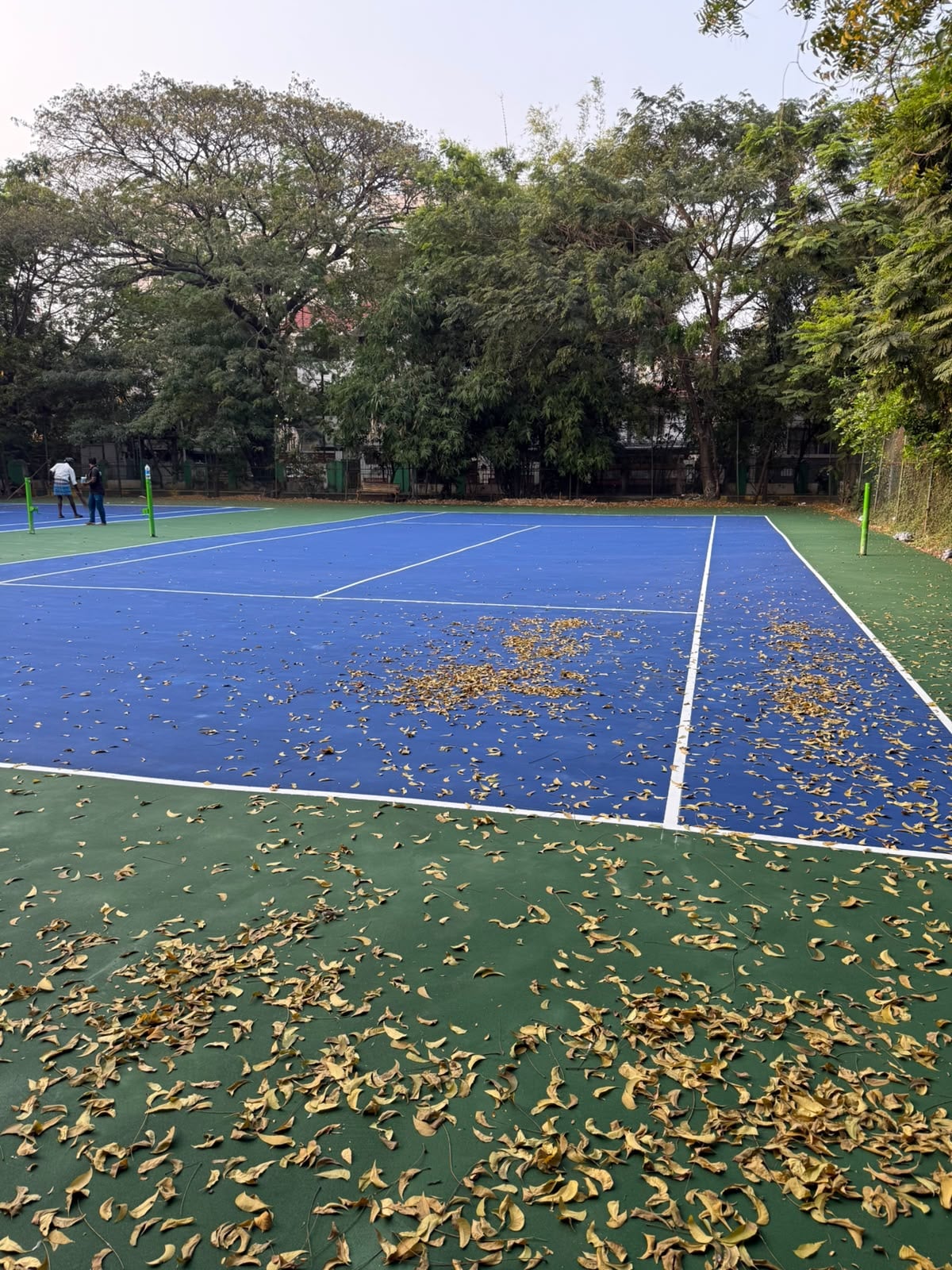 SRK Tennis Academy