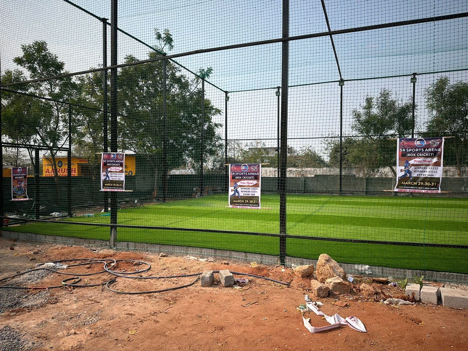 Turf photo 6