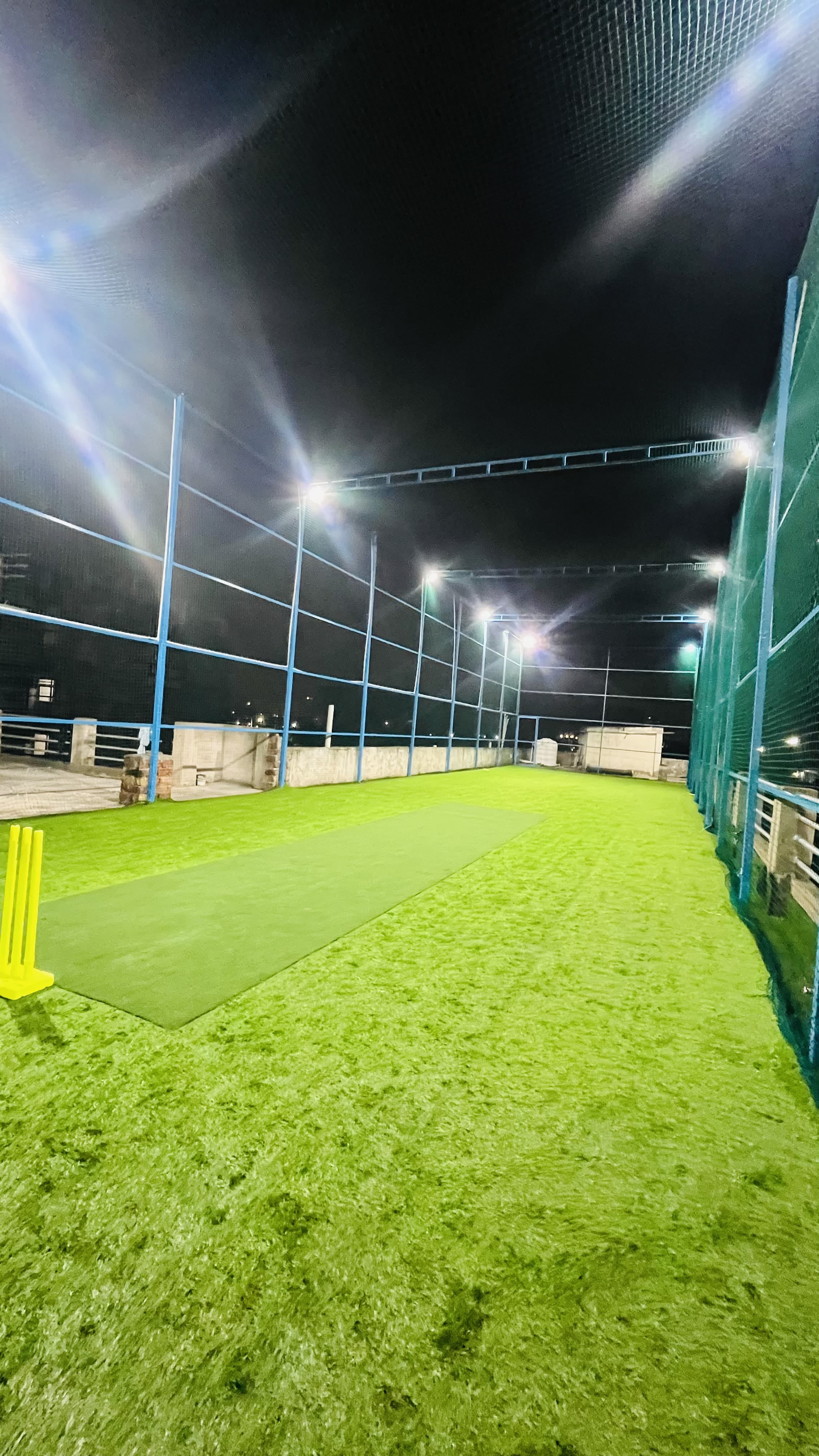Turf photo 4