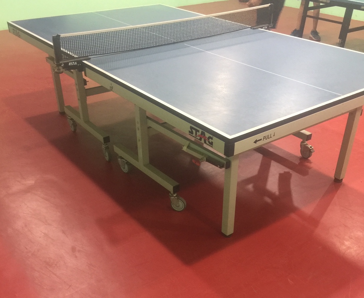 SSNI Table Tennis Academy