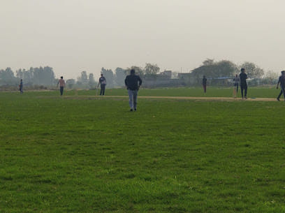 Stallions Cricket Ground