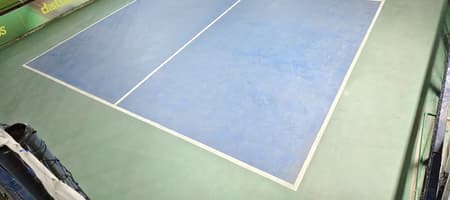 Stellarin Deep VK Pickleball