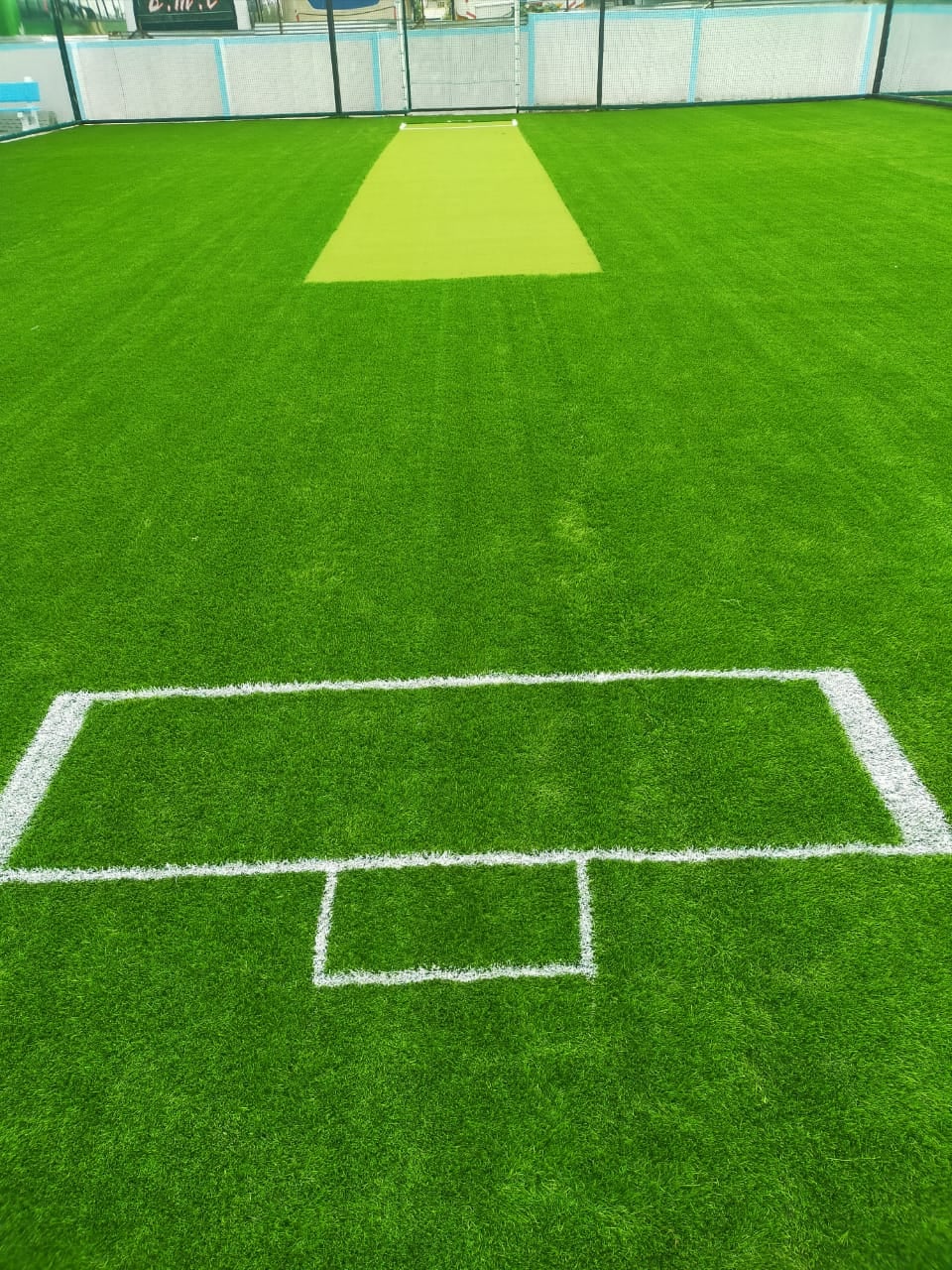 Turf photo 10