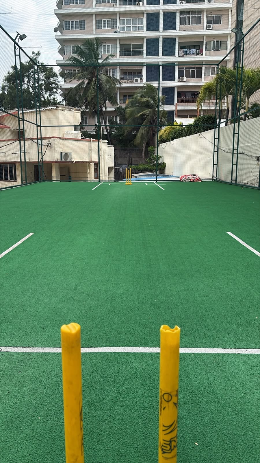 Turf photo 5