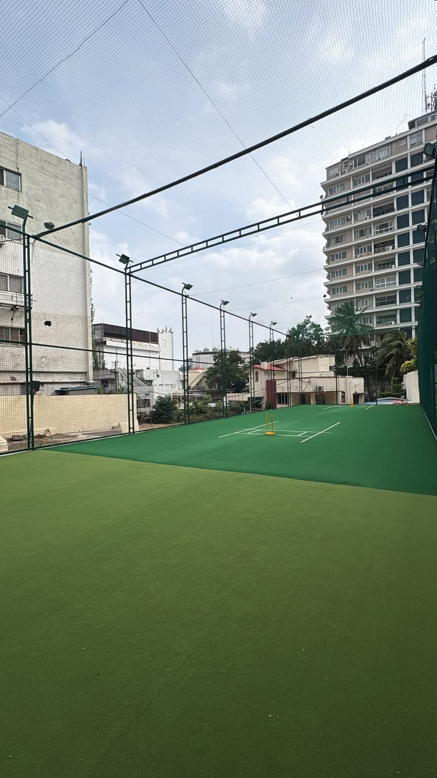 Turf photo 6