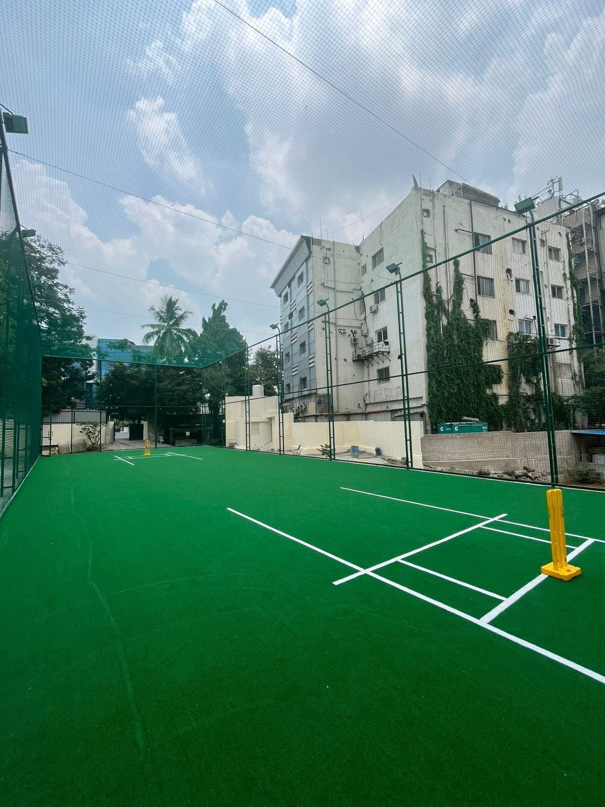 Turf photo 8