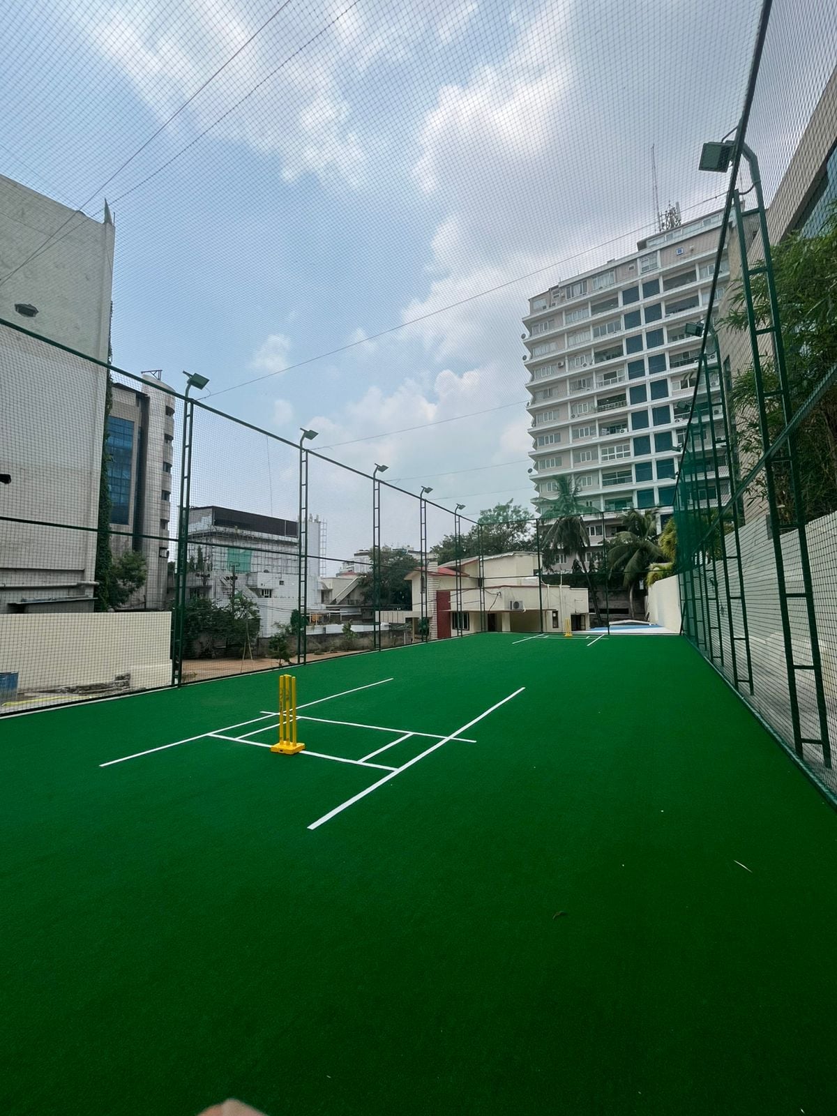 Turf photo 9