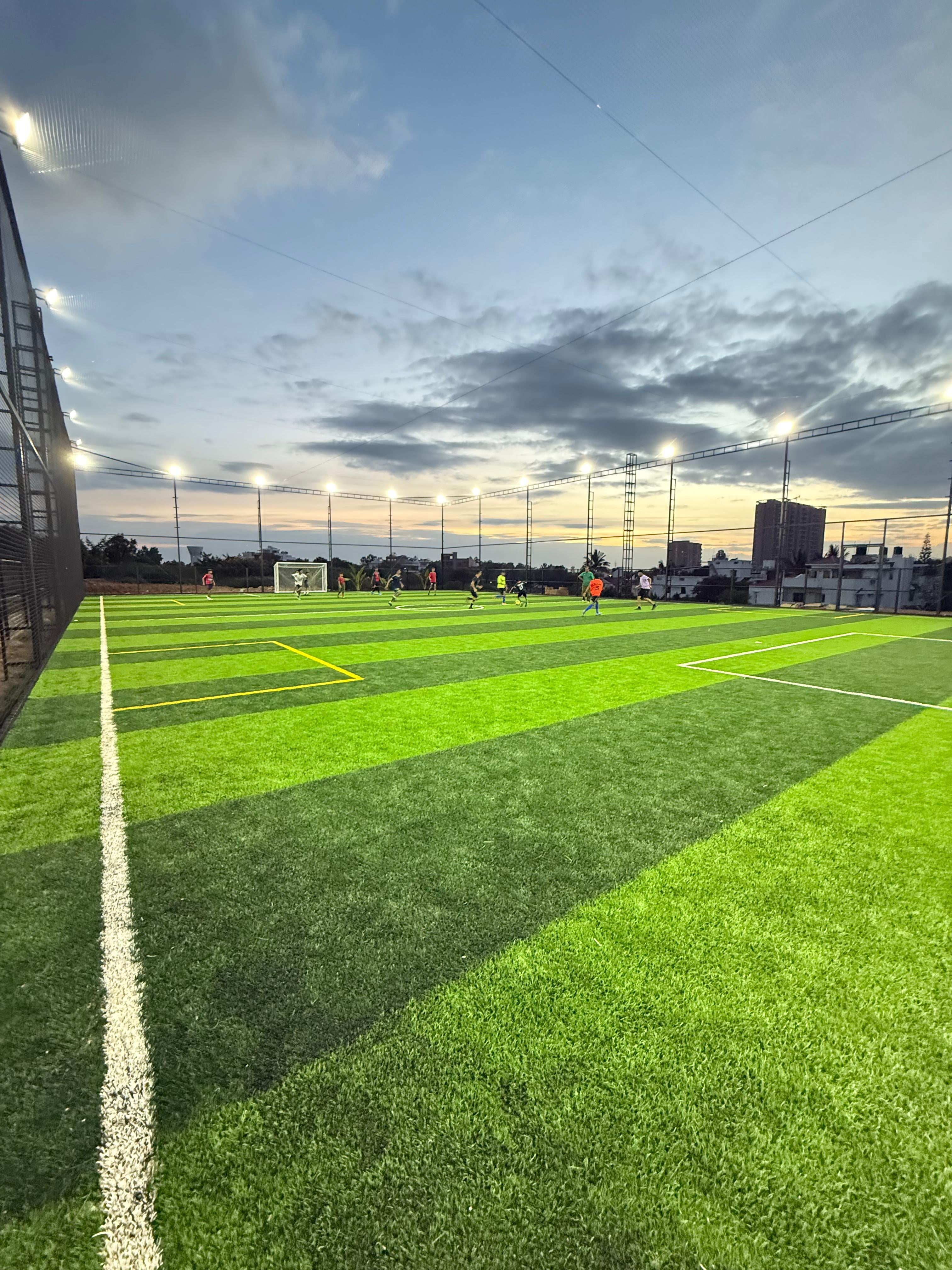 Turf photo 8