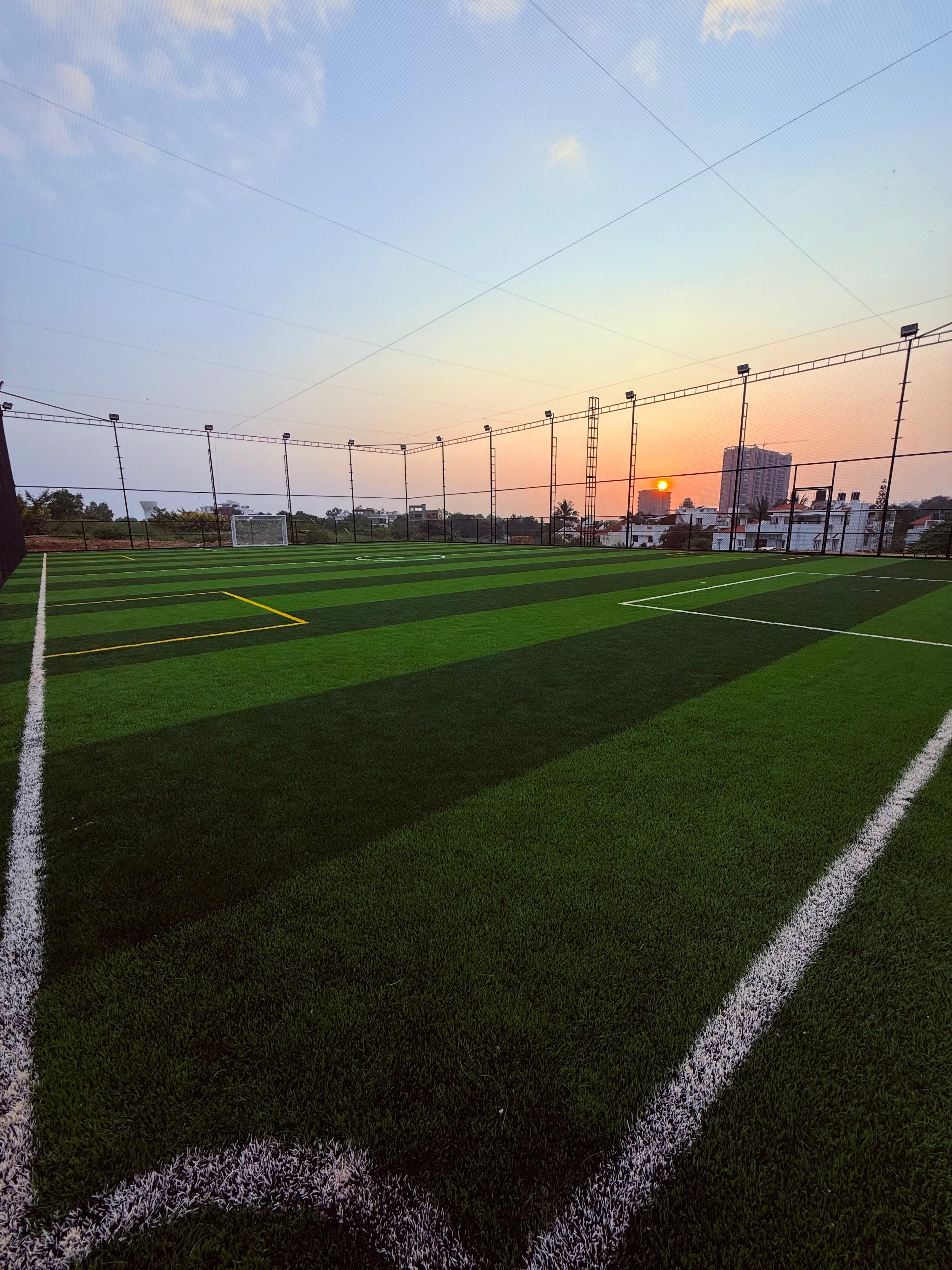 Turf photo 9