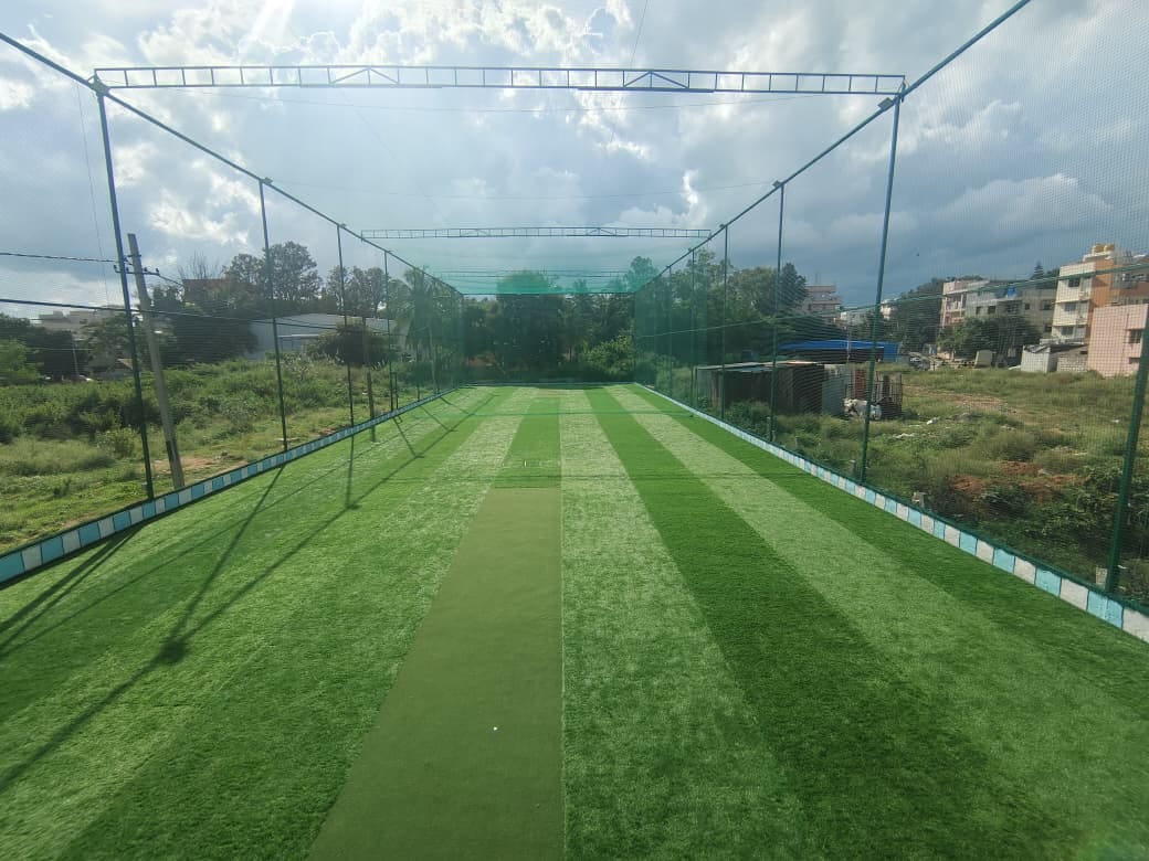 Turf photo 2