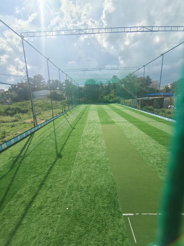 Turf photo 4