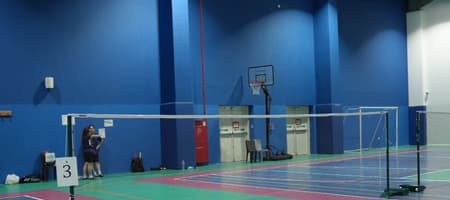 Stronix Badminton
