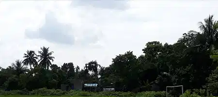 Sukanta Pally field
