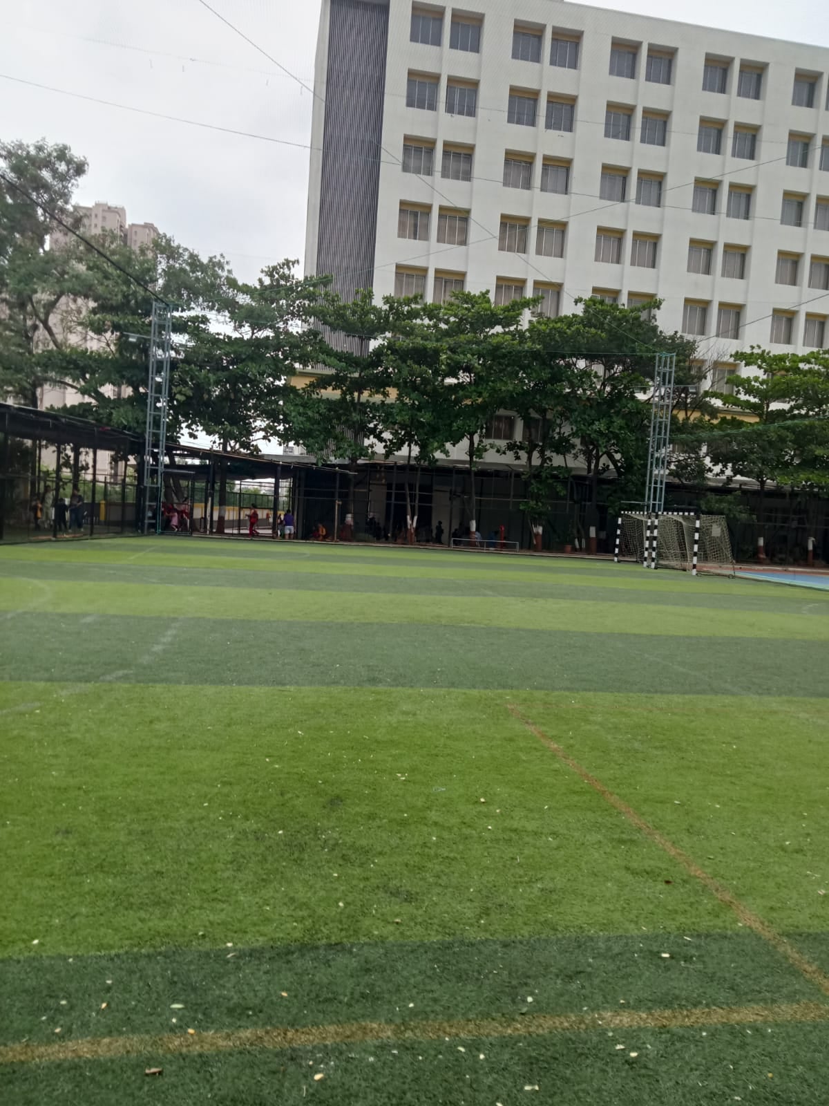 Turf photo 6