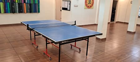 Spin & Smash Table Tennis