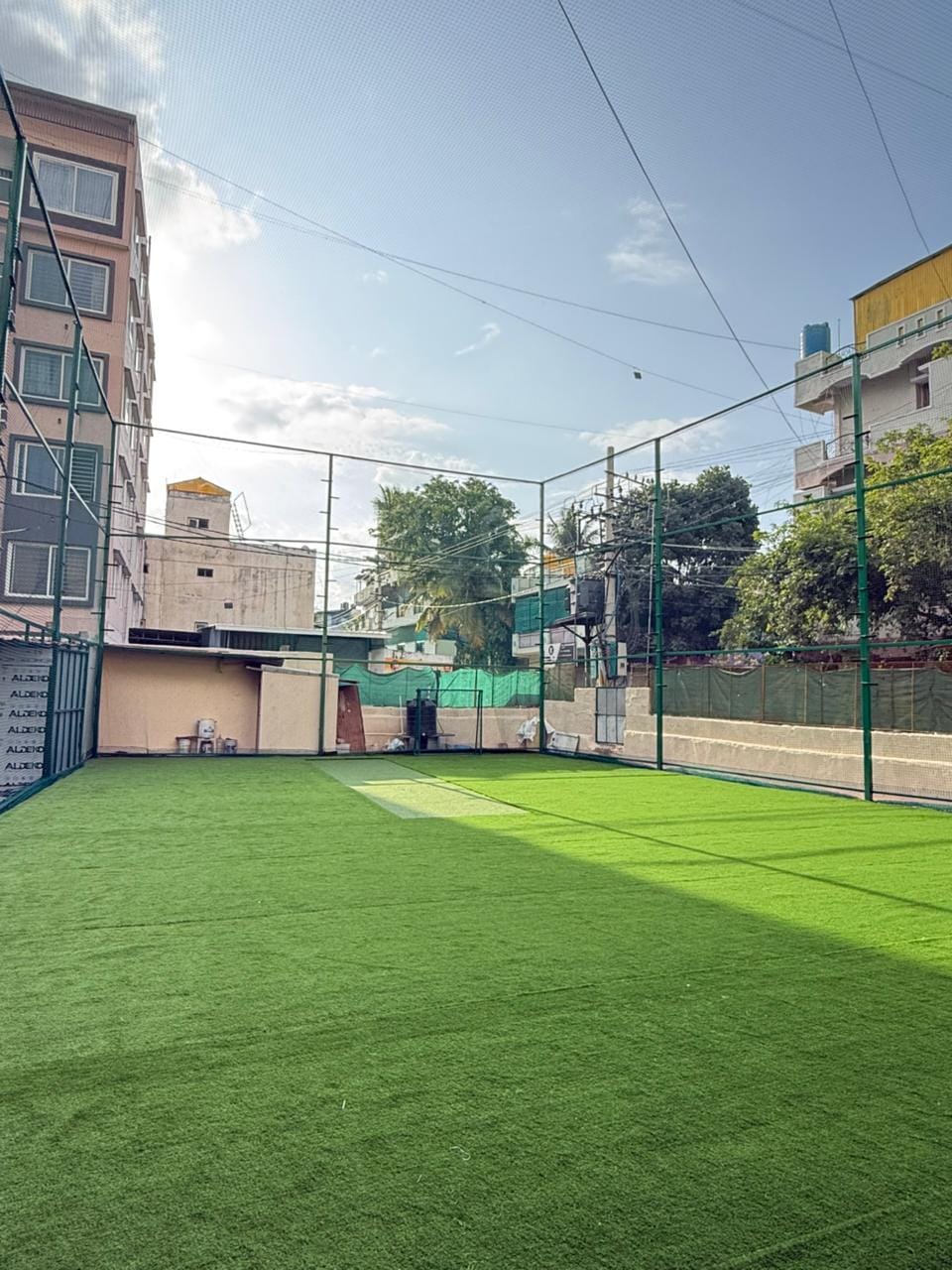 Turf photo 8