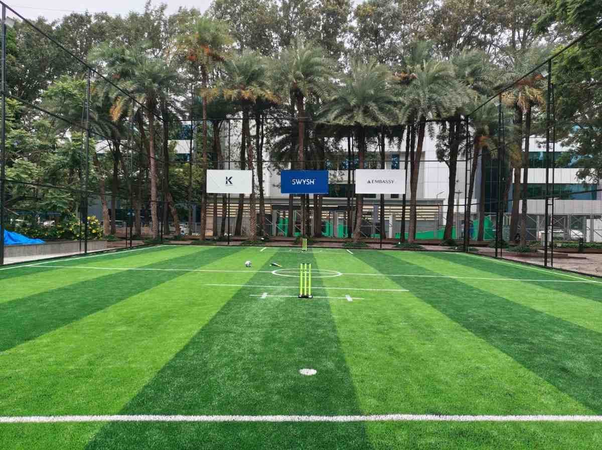 Turf photo 6