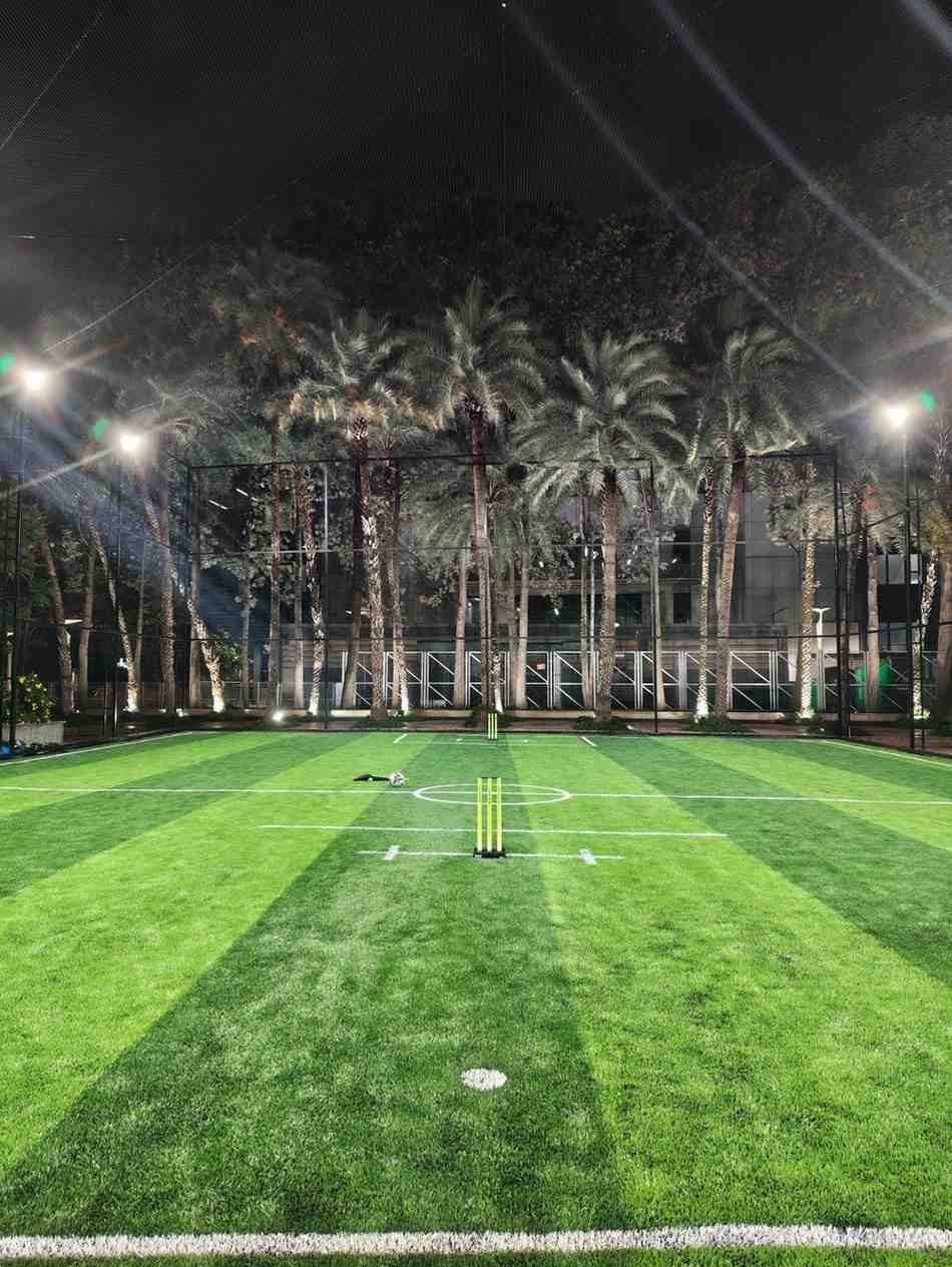 Turf photo 7