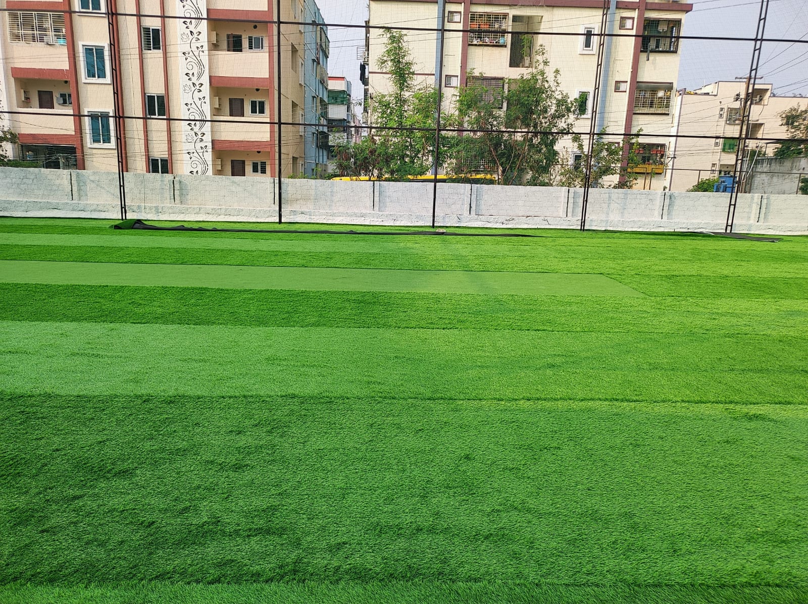 Turf photo 7