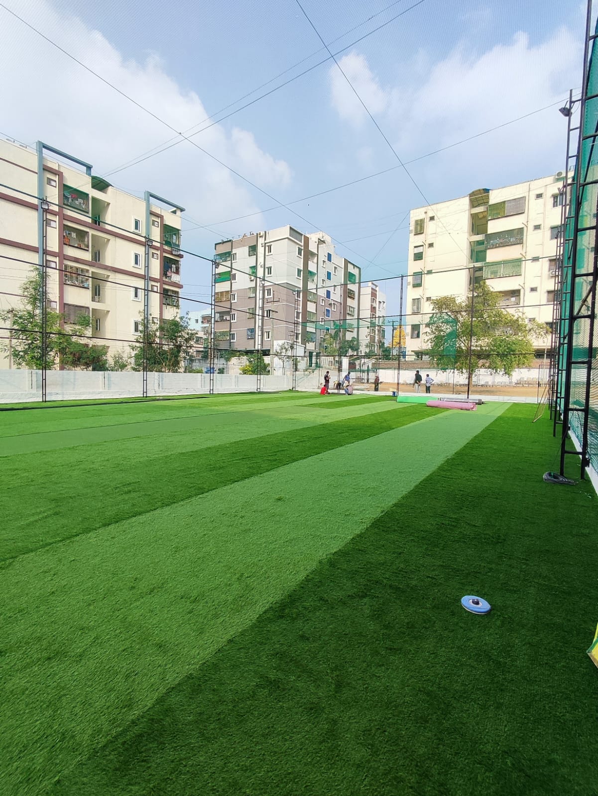 Turf photo 8