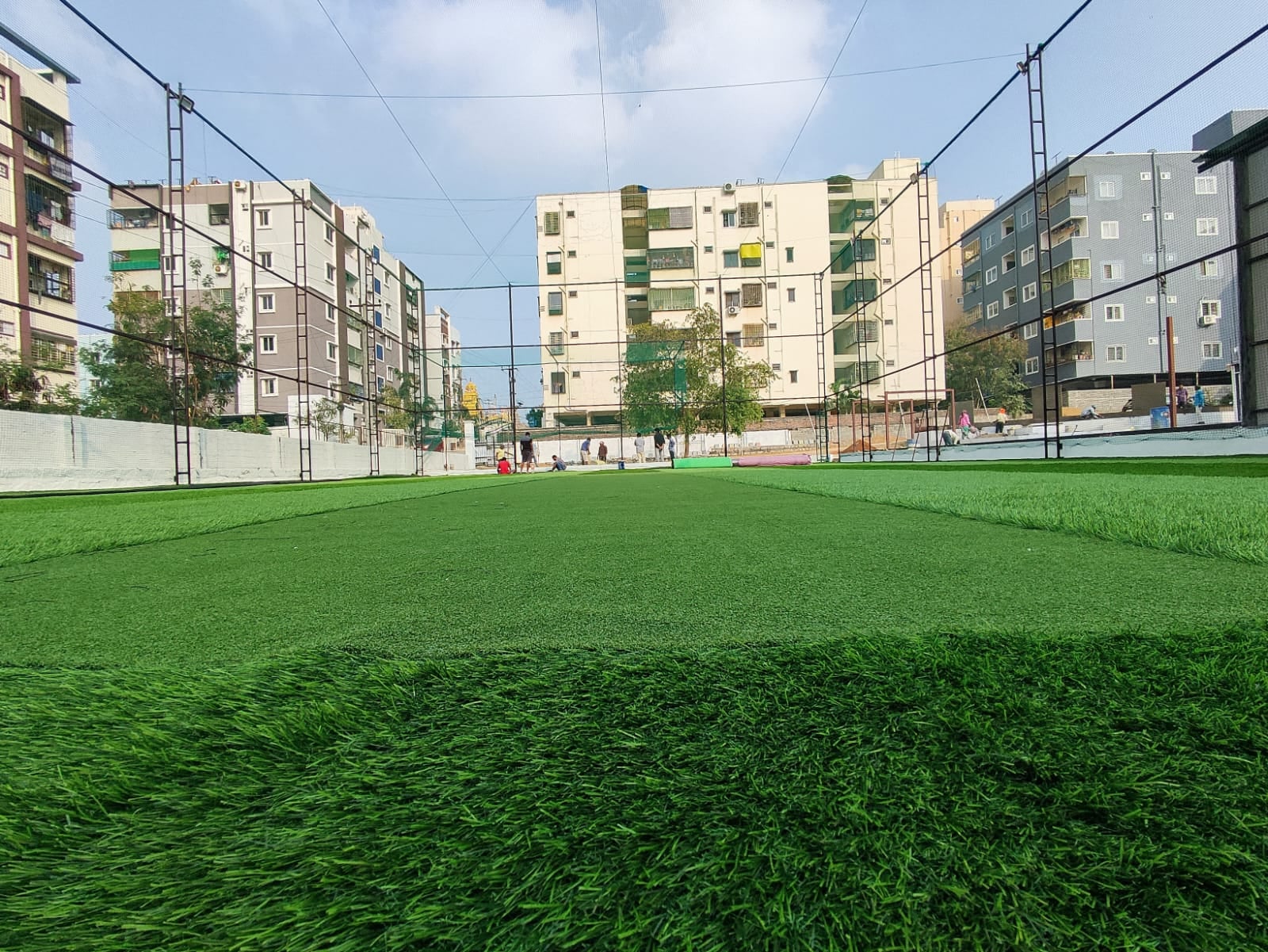 Turf photo 9