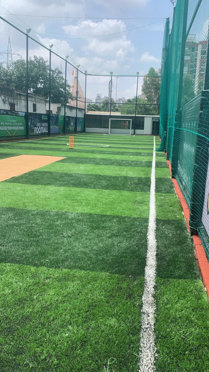 Turf photo 6