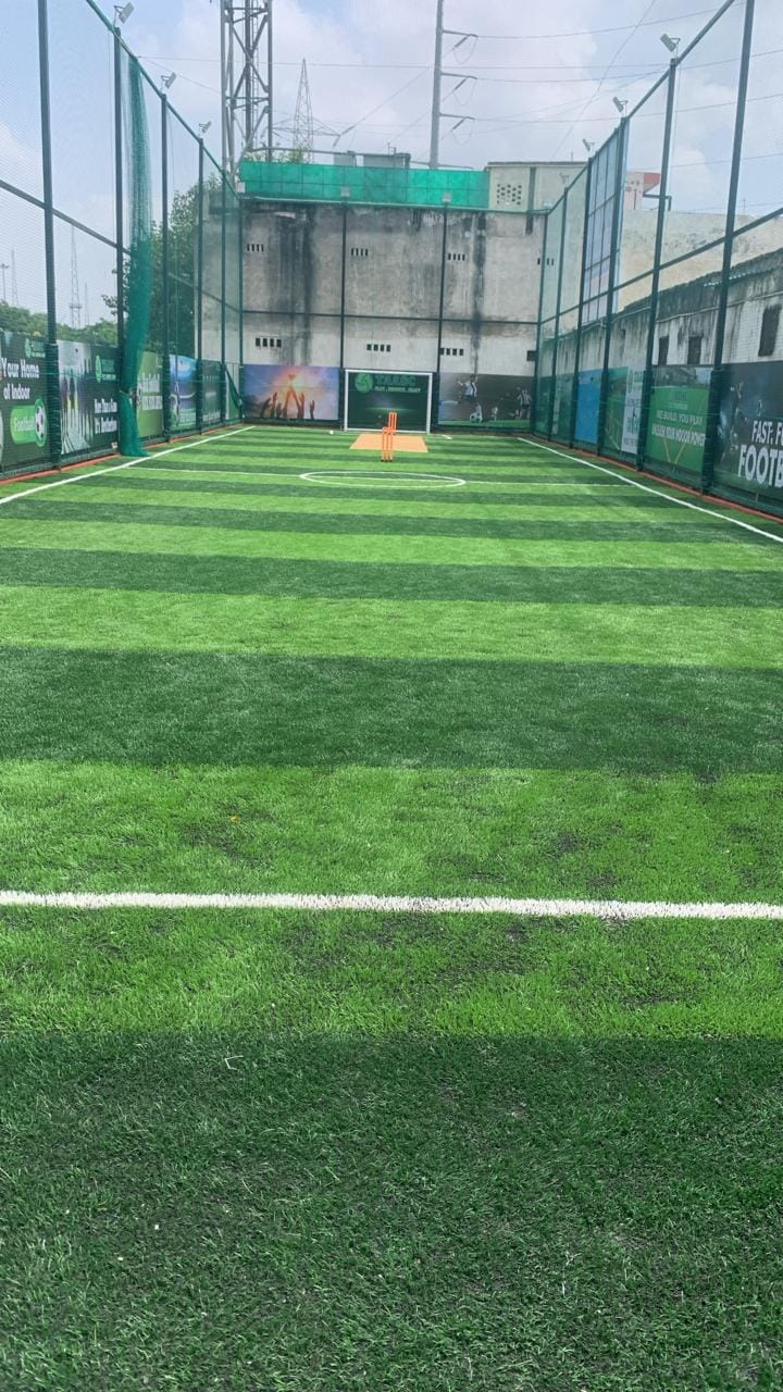 Turf photo 7