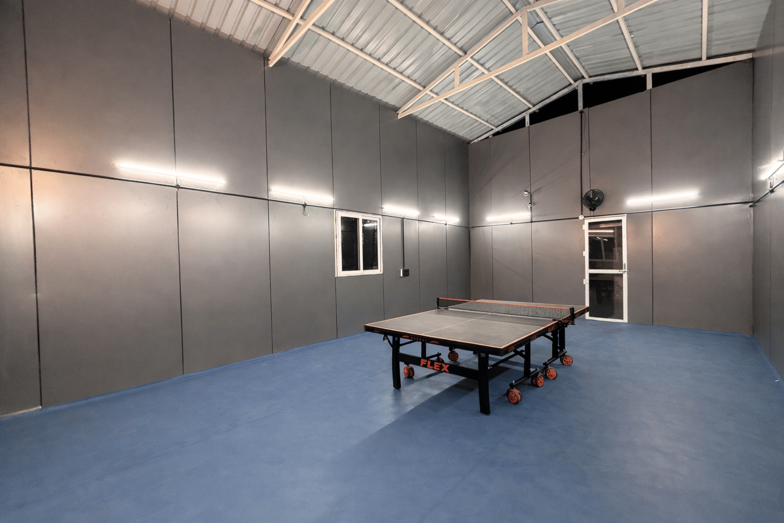 Table Tennis Madness