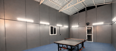 Table Tennis Madness