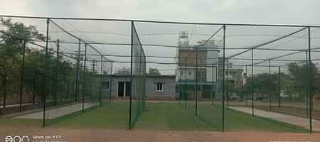 Young Stars Cricket Academy
