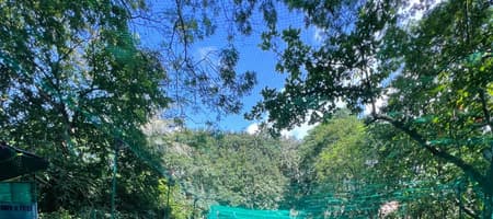 Takshvi Celebration Lawn & Turf