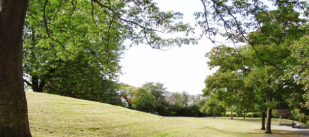 Telegraph Hill Upper Park