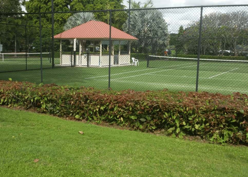 Tennis Courts New Farm Park