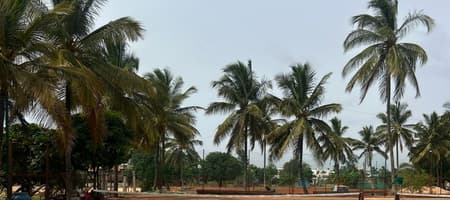 Tennis Temple