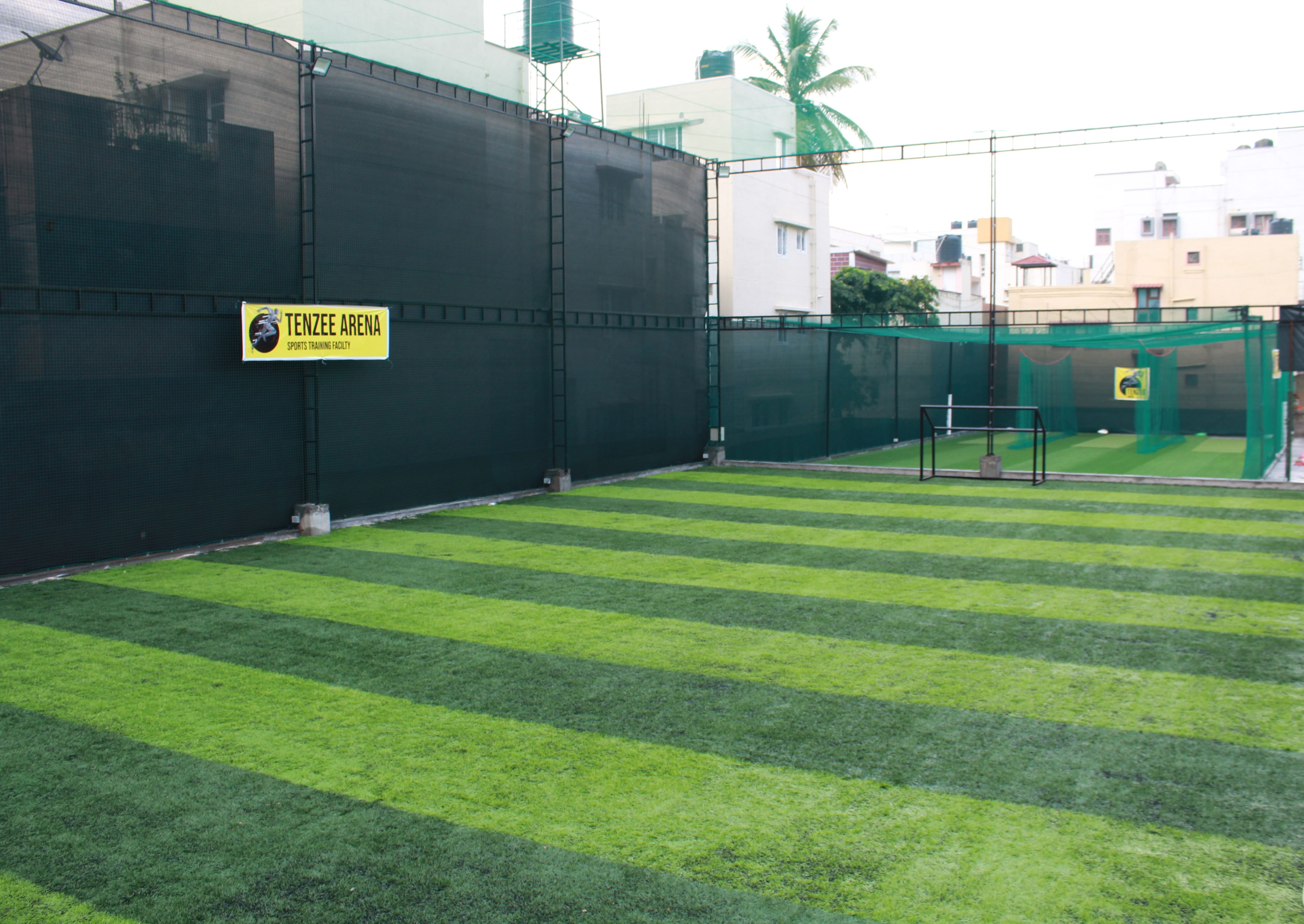 Tenzee Arena
