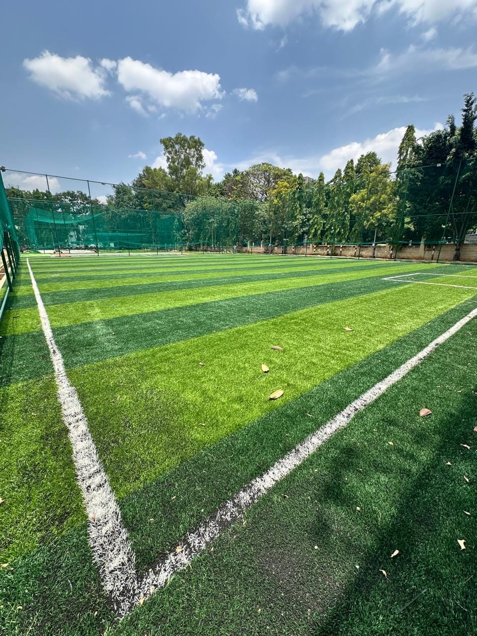 Turf photo 5