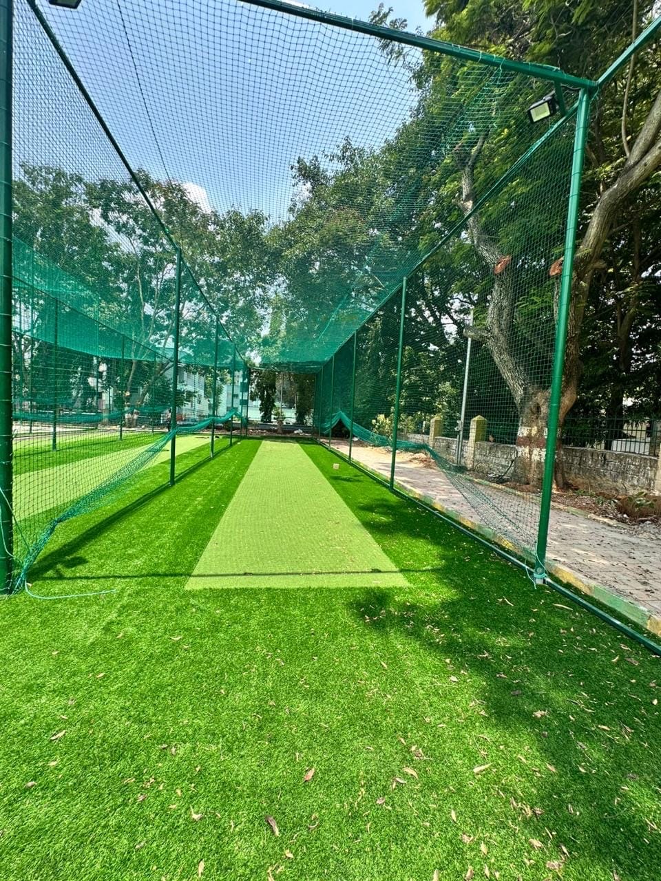 Turf photo 6