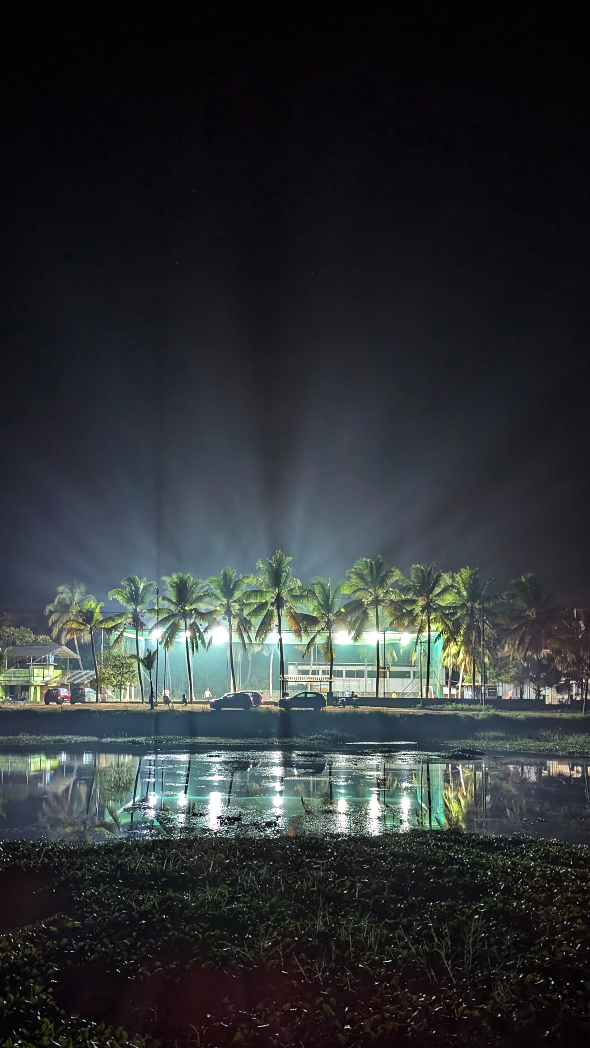 Terra Sports Academy