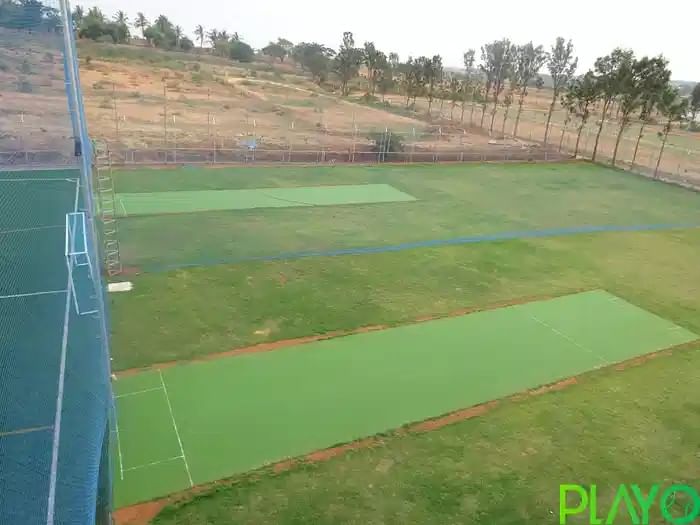 Proplay - Sports N Eats