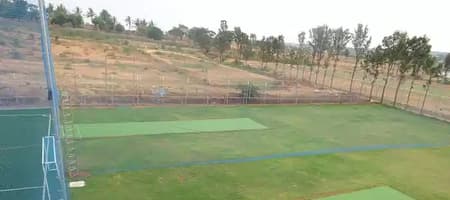 Proplay - Sports N Eats