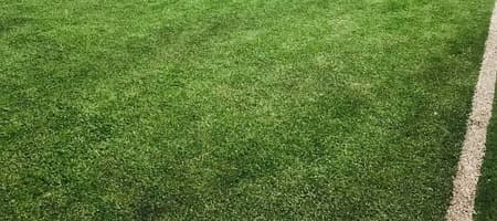 The Backyard - Activity Arena