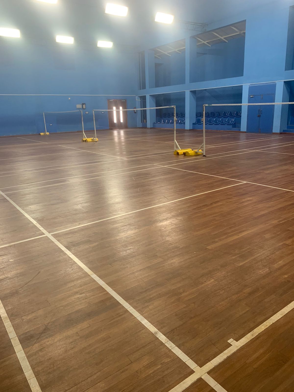 The Badminton Professionals