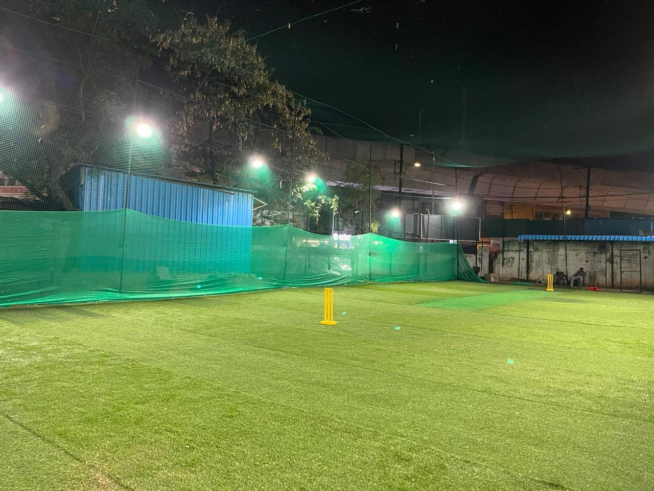 Turf photo 4