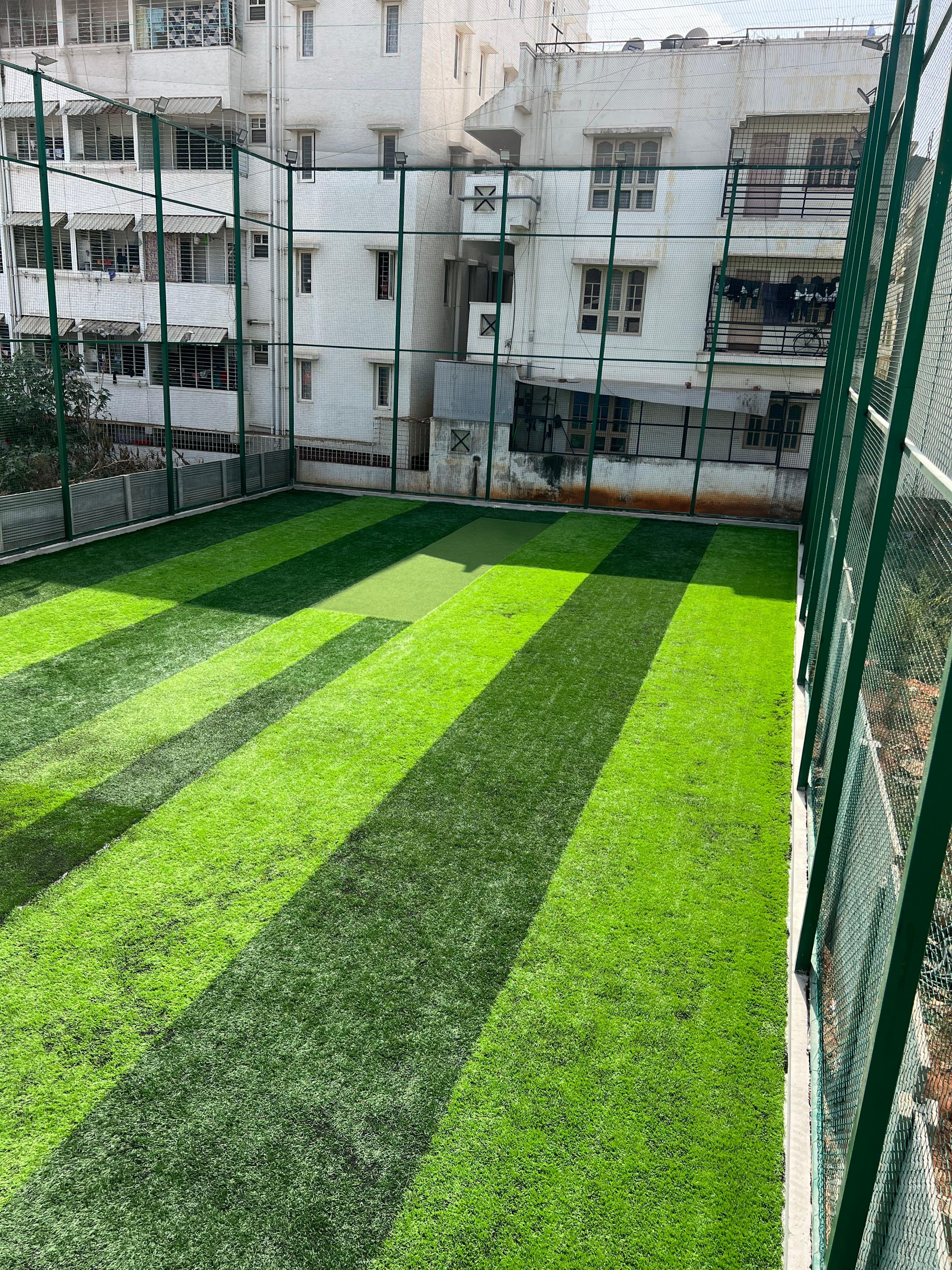 Turf photo 6