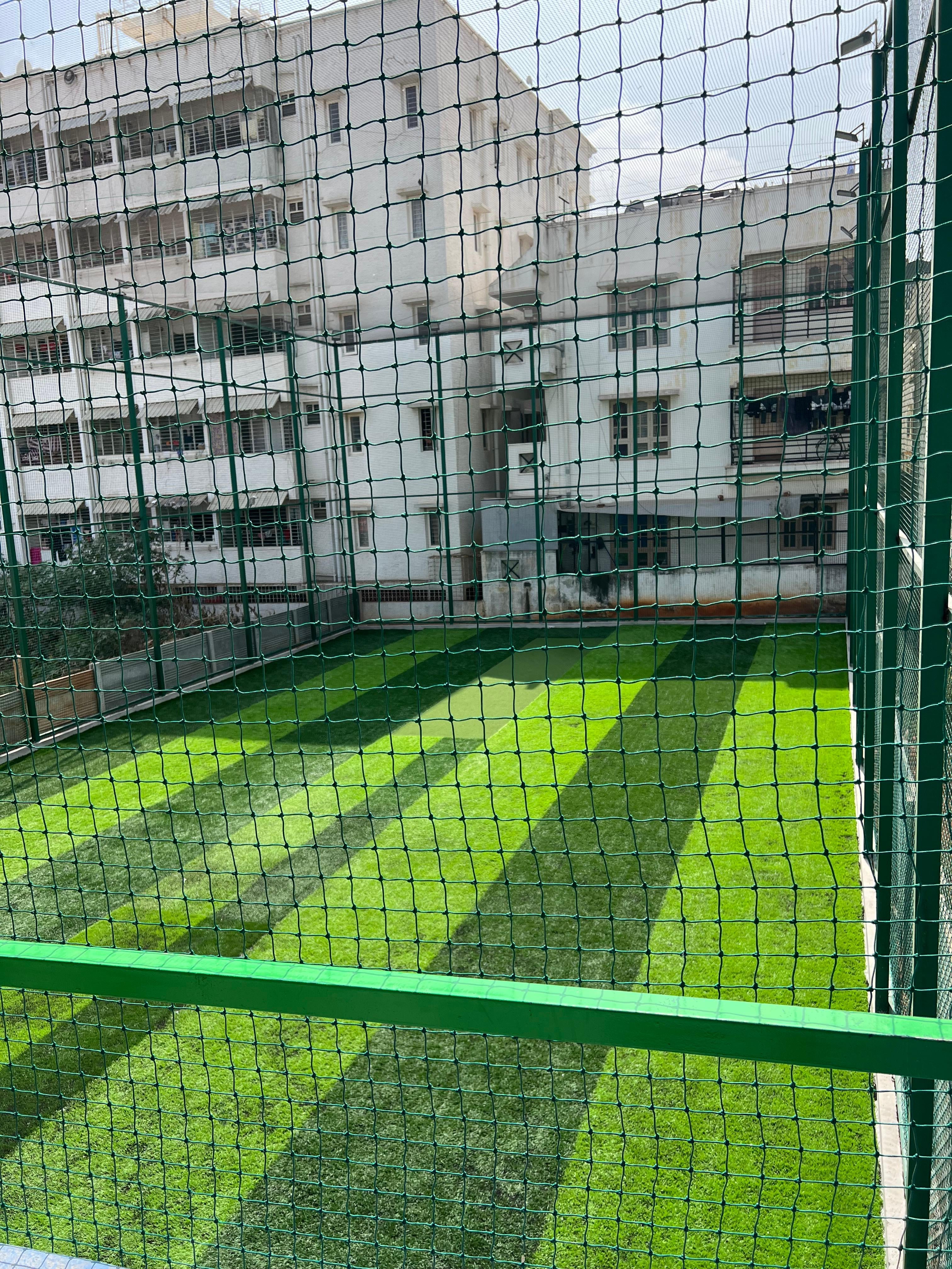 Turf photo 9