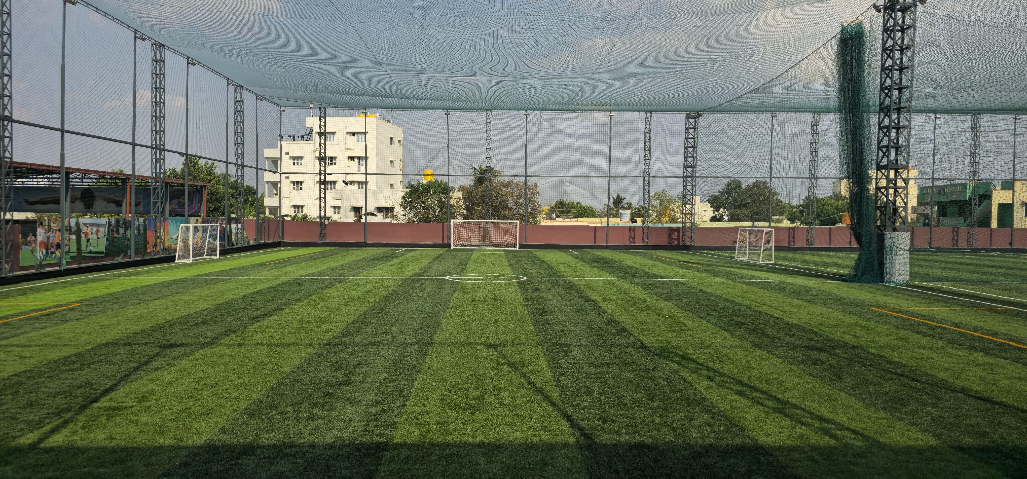 Turf photo 5