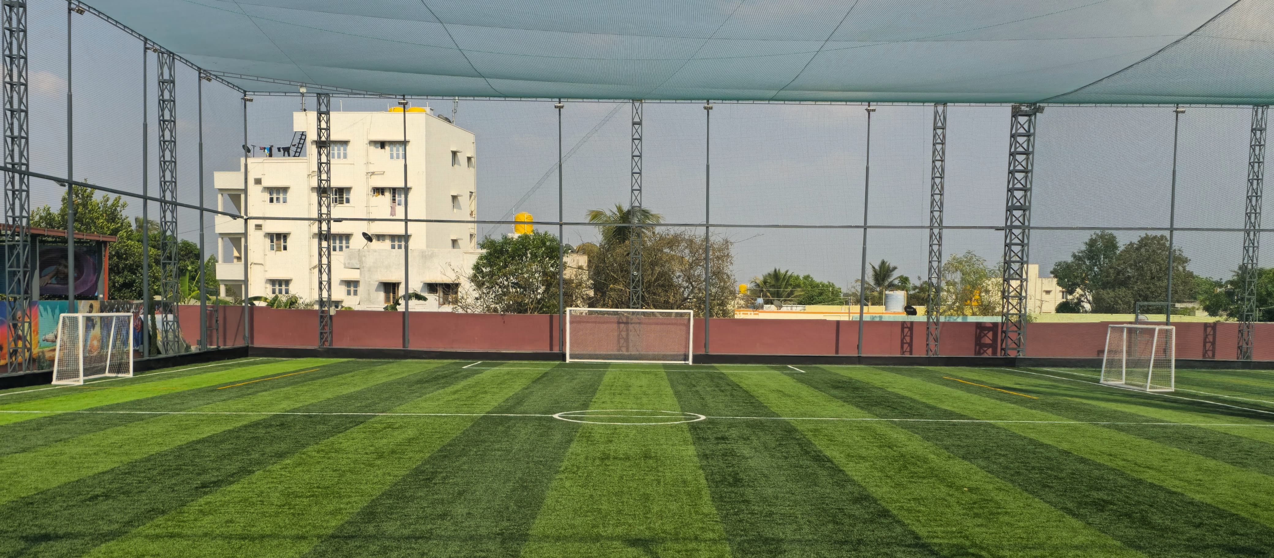 Turf photo 6