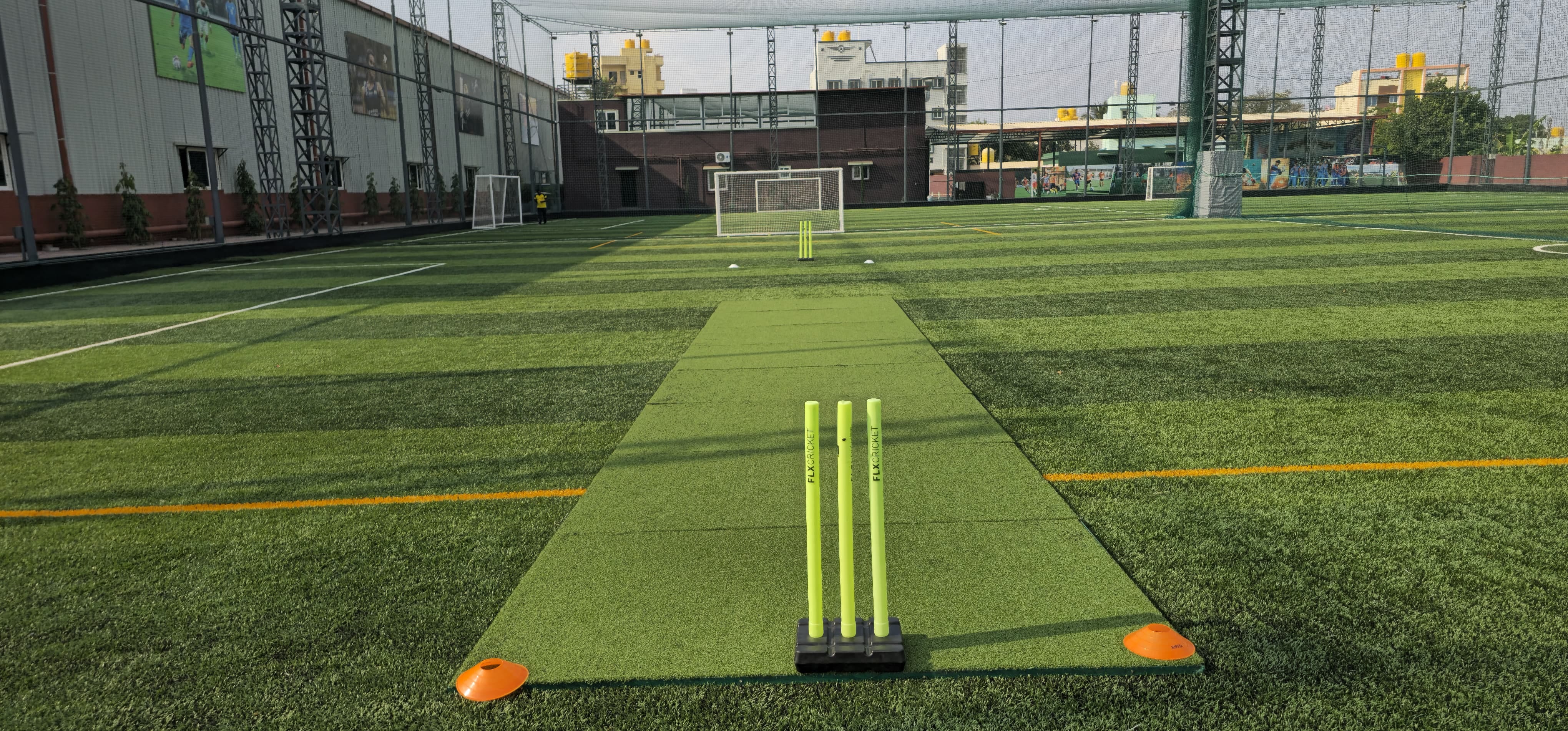 Turf photo 8