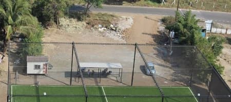 The Home Ground Turf