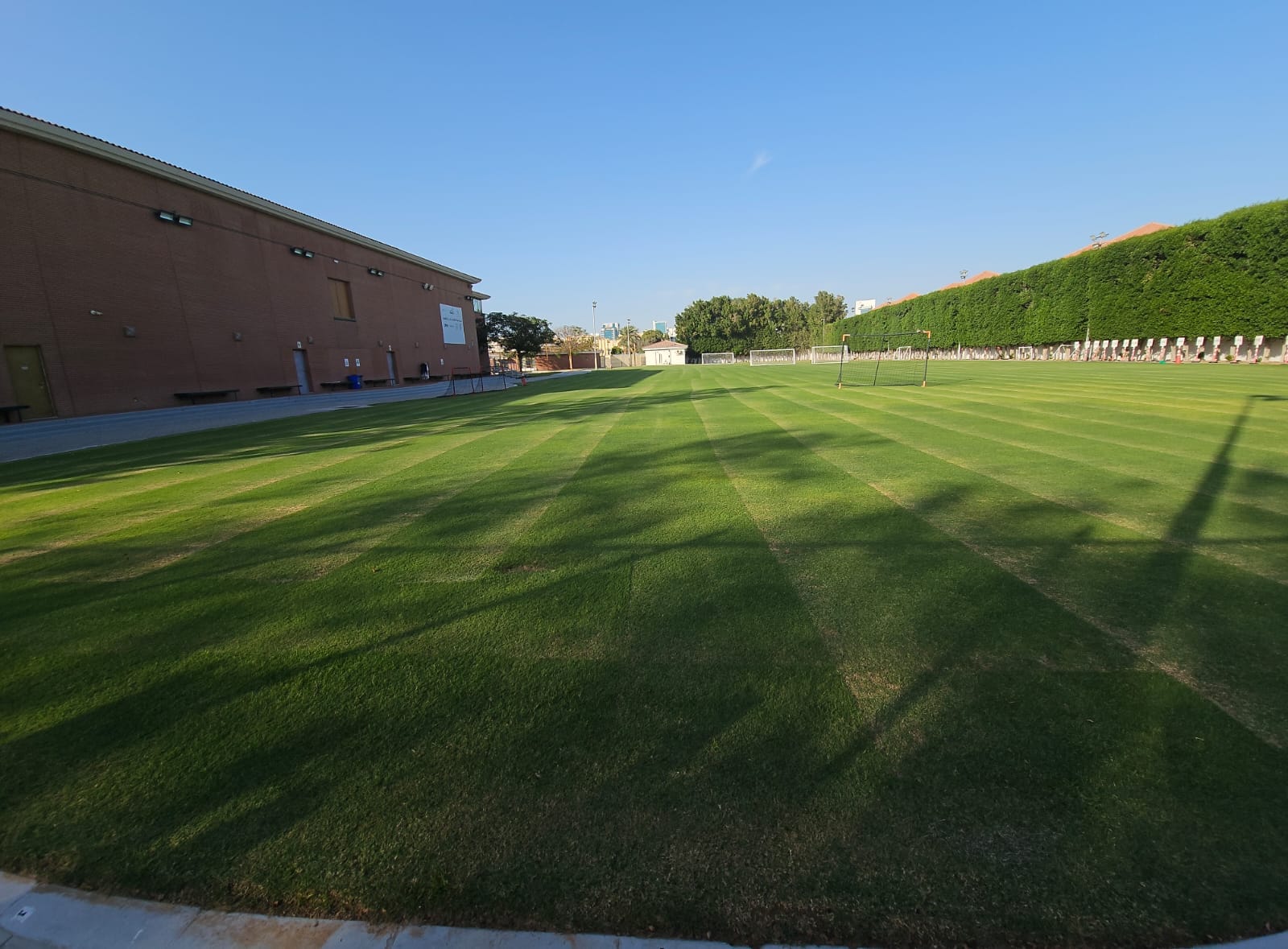 Crocodile Sports Academy